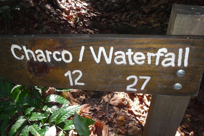 Damajagua Waterfalls for Cruise Ship Passengers - FAQs