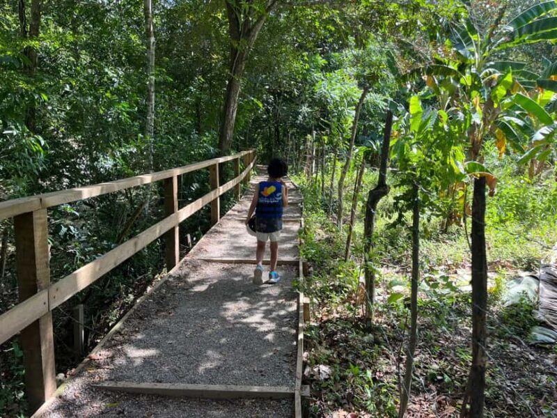 Damajagua Waterfalls Private Tour with Lunch - Practical Tips for Participants