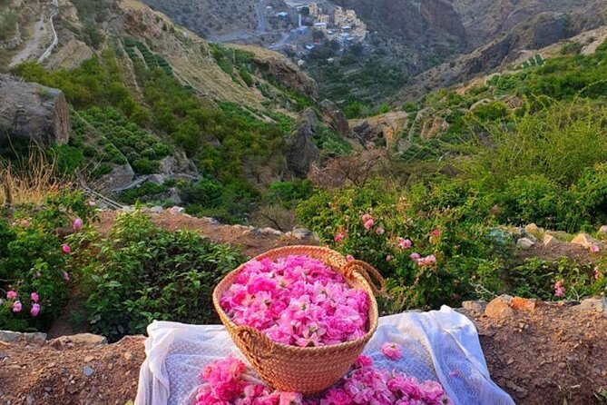 Damascus Roses - Discover the Secrets of Al Jabal Al Akhdhar - Good To Know