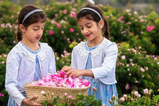 Damascus Roses - Discover the Secrets of Al Jabal Al Akhdhar - Accessibility Options