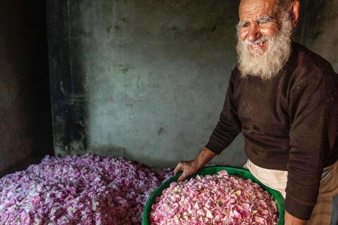 Damascus Roses - Discover the Secrets of Al Jabal Al Akhdhar - Booking and Cancellation Policies