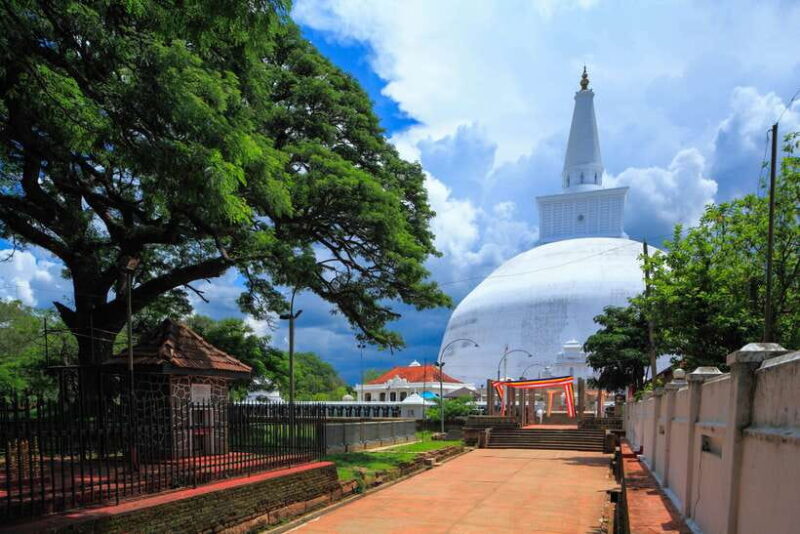Dambulla: Anuradhapura and Mihintale Day Tour - Transportation, Pricing, and Value
