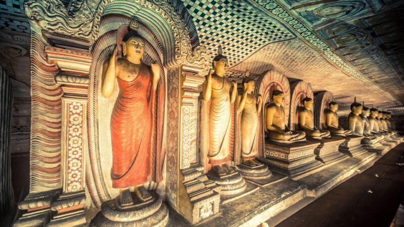 Dambulla & Polonnaruwa: All Inclusive Tour From Habarana - Tour Inclusions