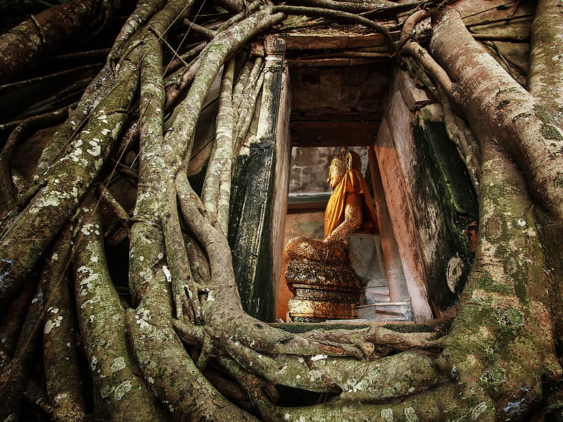Damnoen Saduak Floating Market & Nakhon Pathom With Driver - Tour Overview