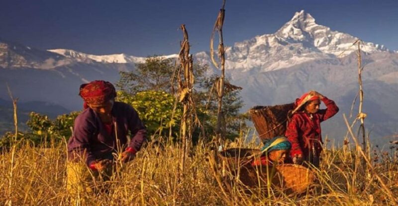 Damphus Sunrise Over The Himalayas: 4 Hours Tour - Key Points