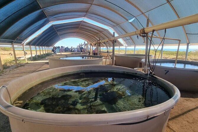 Dampier Peninsula & Aboriginal Communities from Broome (Optional Scenic Flight) - Logistics and Practicalities