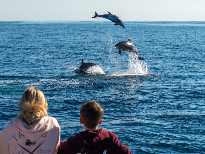 Dana Point Dolphin & Whale Watching With Underwater Viewing - Check-in and Parking Details