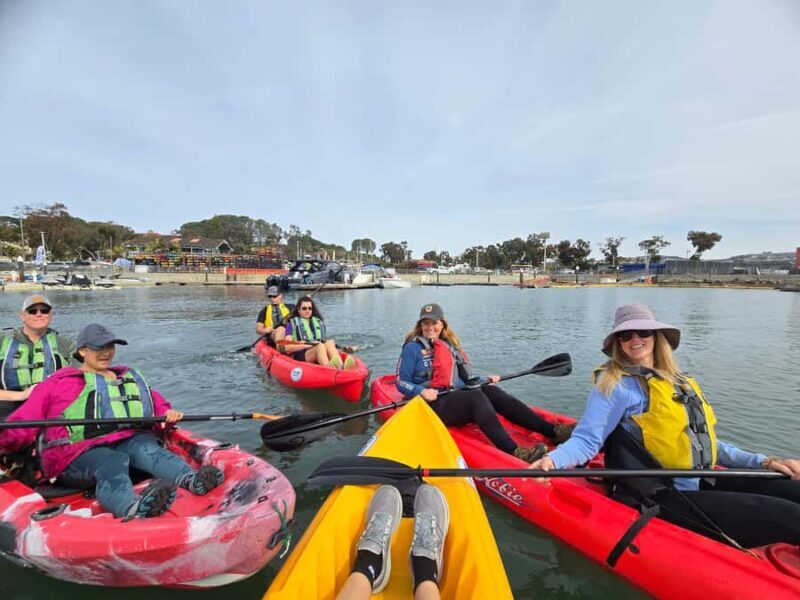 Dana Point: Kayak and Hike with Sea Cave and Tide Pools - Value and Pricing