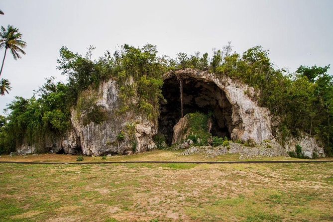 Dance With Me - Puerto Rican Historical Dance Tour & Food - Customer Service Insights