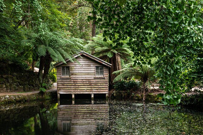 Dandenong Ranges Private Day Tour - What Makes This Tour Stand Out