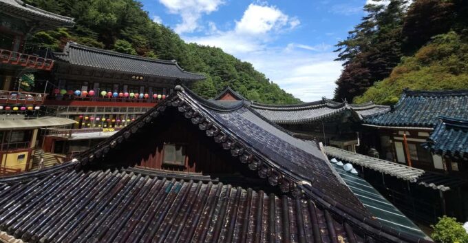 Danyang Tour:Guinsa Temple & Bobaljae & Hidden Maple Field - Included Amenities