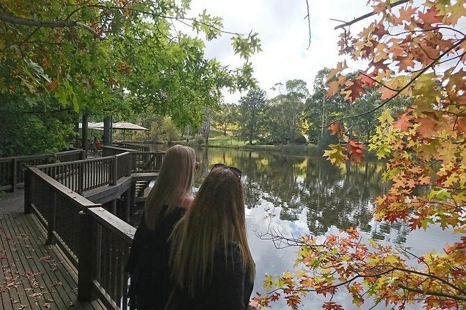 d'Arenberg Cube / McLaren Vale Regional Tour - Authenticity and Unique Highlights
