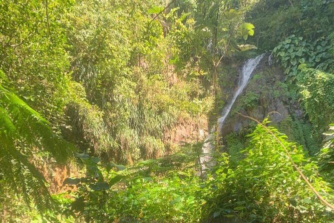 Dark View Falls Private Tour - Transportation and Timing: What to Expect