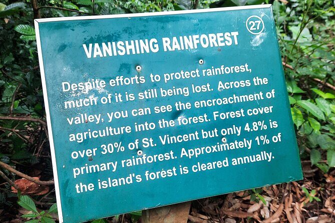 Dark View Falls - St. Vincent - The Main Event: Dark View Falls