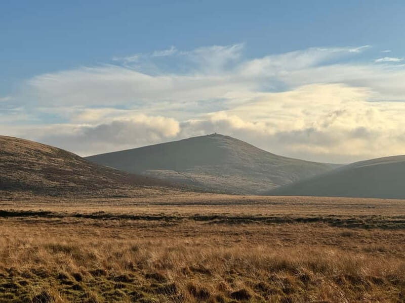 Dartmoor National Park: Half Day Guided Hiking Tour - The Route and Landscape