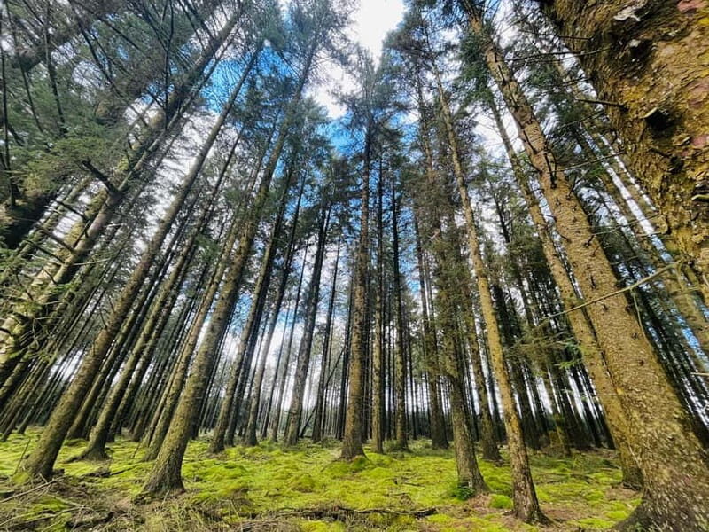 Dartmoor National Park: Half Day Guided Hiking Tour - Final Thoughts
