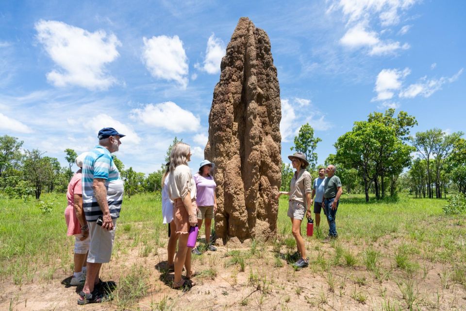 Darwin: 5-Day 4WD Kakadu, Litchfield Tour & Billabong Cruise - Itinerary