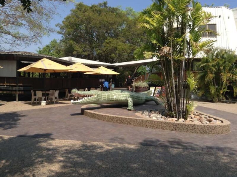 Darwin: Adelaide River Queen Original Jumping Crocodiles - A Close-Up Look at the Adelaide River Queen Jumping Crocodile Cruise