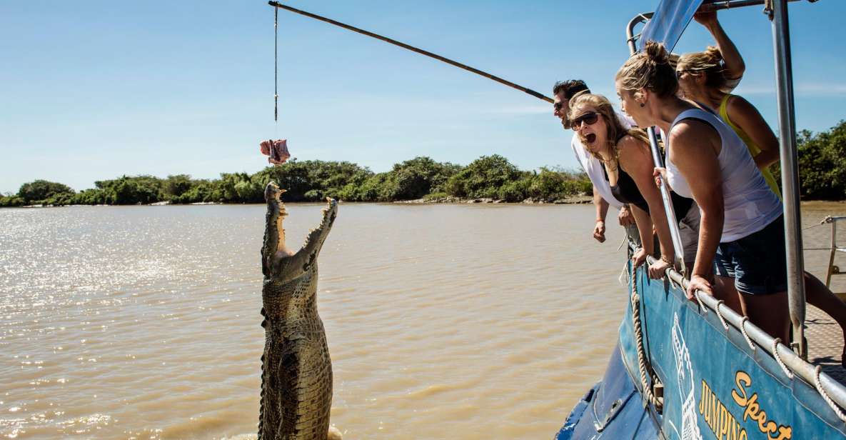 Darwin: City Sights and Jumping Crocodile Cruise - Experience