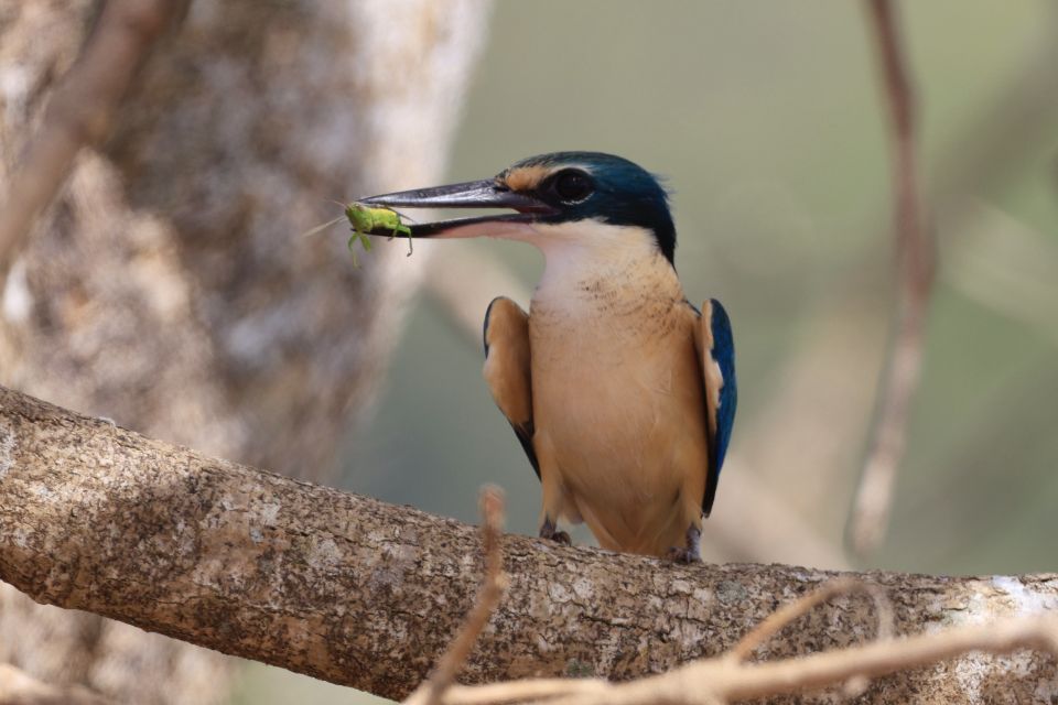 Darwin: Fogg Dam Wetlands Sunset & Humpty Doo Hotel Tour - Itinerary