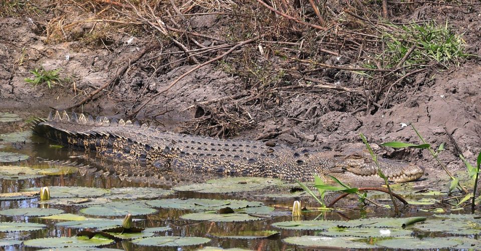Darwin: Fogg Dam Wetlands Sunset & Humpty Doo Hotel Tour - Frequently Asked Questions