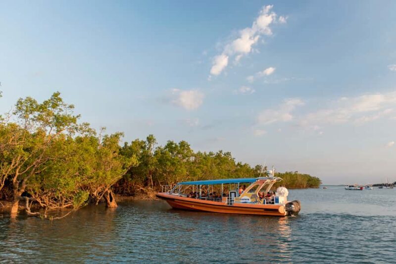 Darwin Harbour Cruise - What Travelers Say