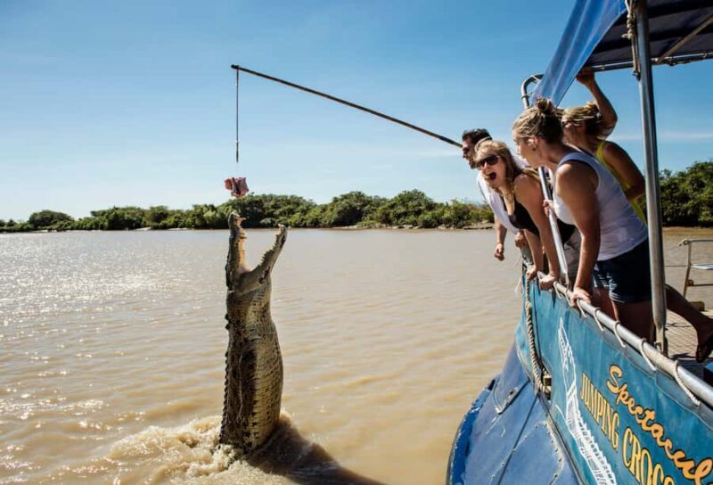 Darwin: Jumping Crocodile River Cruise with Shuttle Bus - Practical Details & Tips