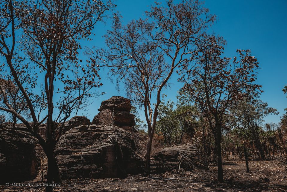Darwin: Kakadu National Park Cultural Day Tour With Lunch - Key Points