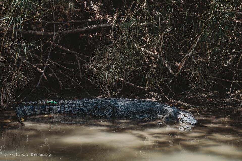 Darwin: Kakadu National Park Cultural Day Tour With Lunch - Recap