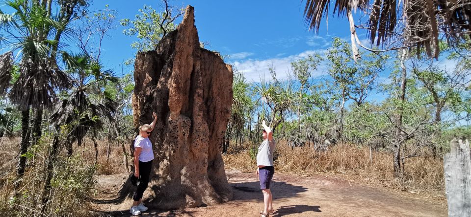 Darwin: Litchfield National Park and Berry Springs Day Tour - Key Points