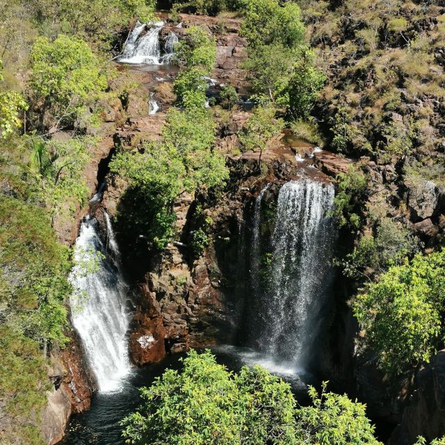 Darwin: Litchfield National Park and Berry Springs Day Tour - Itinerary Highlights