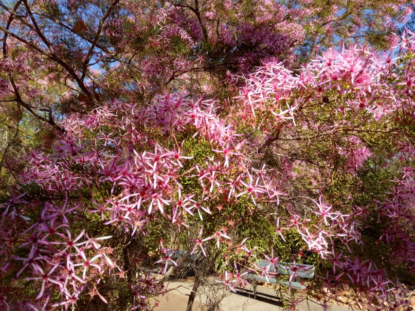 Darwin: Litchfield National Park and Berry Springs Day Tour - Frequently Asked Questions