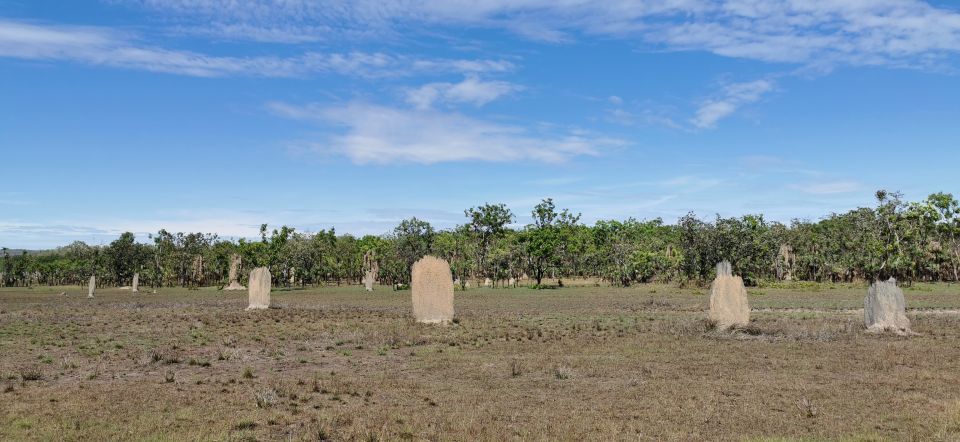 Darwin: Litchfield National Park and Berry Springs Day Tour - Recap