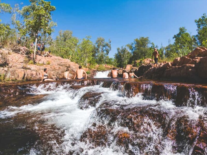 Darwin: Litchfield National Park Waterfalls & Wildlife Tour - Key Points