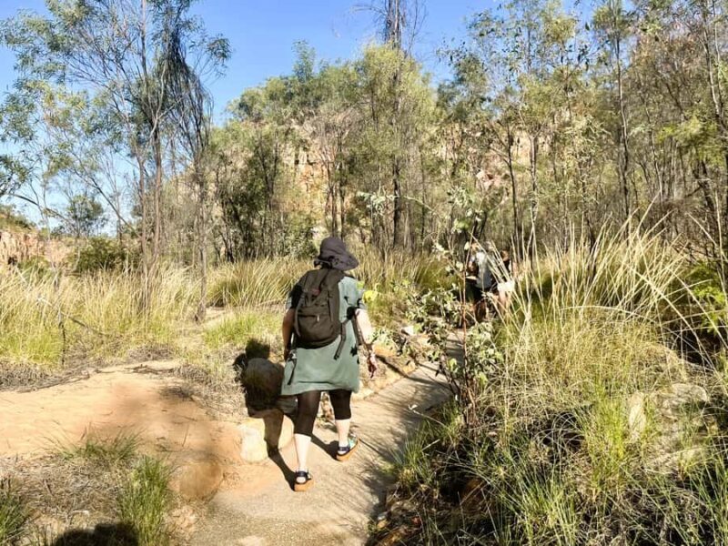 Darwin: Nitmiluk Edith Falls Tour & Katherine Gorge Cruise - Key Points