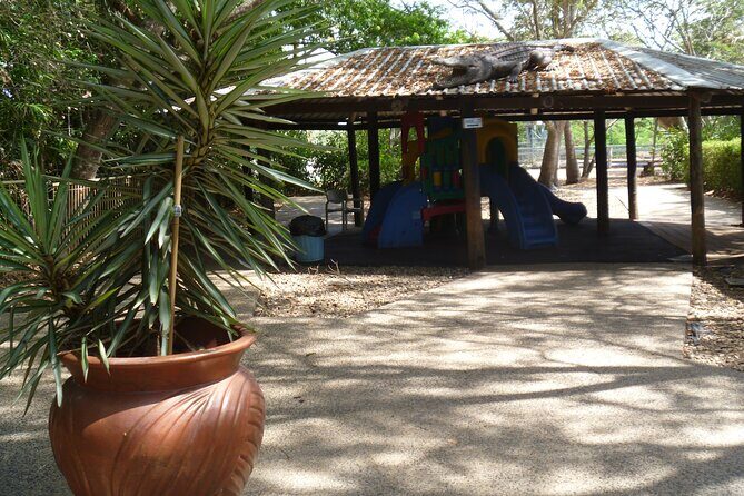 Darwin: Pathfinder Original Jumping Crocodile Cruise - Accessibility and Practical Tips