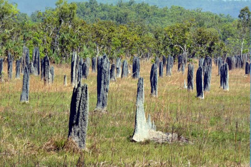 Darwin: PRIVATE Litchfield Park Sub-Tropical Escape - An Introduction to the Experience