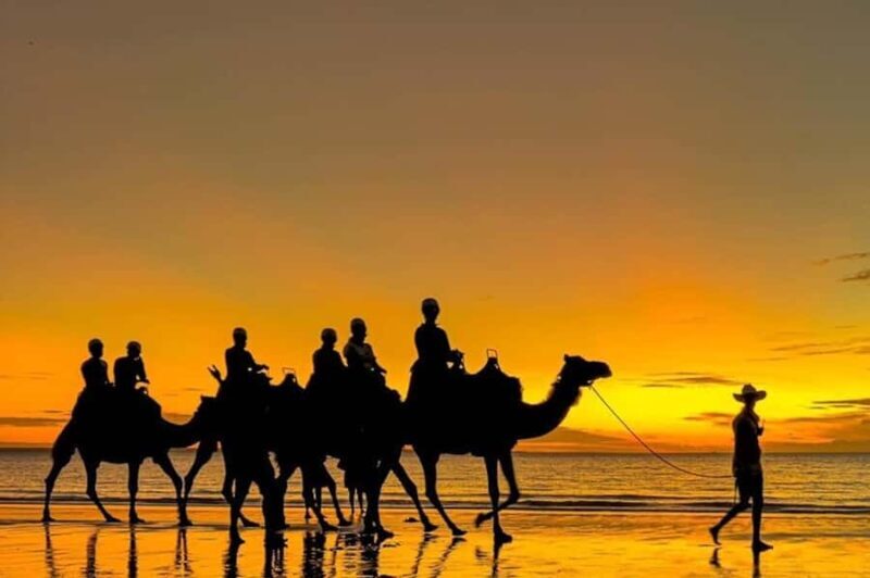 Darwin: Sunset Camel Ride along Mindil Beach - What to Expect from the Sunset Camel Ride