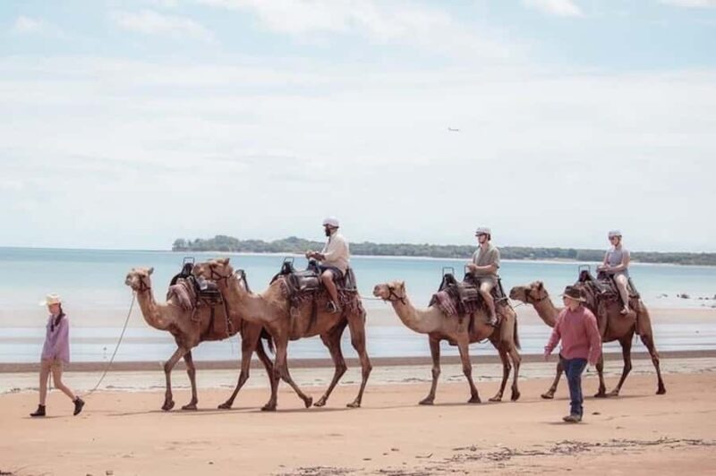 Darwin: Sunset Camel Ride along Mindil Beach - Final Thoughts