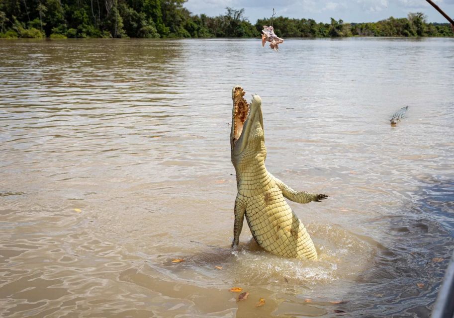 Darwin: The Croc Bus to the Famous Jumping Crocodile Cruise - Frequently Asked Questions