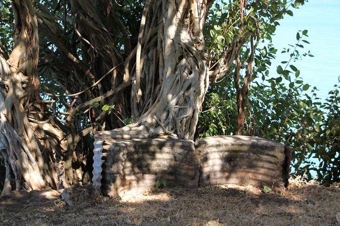 Darwin Walking Tour: World War II Reflections - A Deep Dive into the Tour Experience