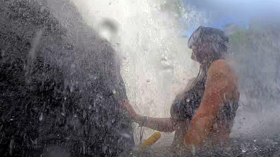 Darwin:2 Day Tropical Summer Kakadu and Litchfield Immersion - Itinerary Highlights
