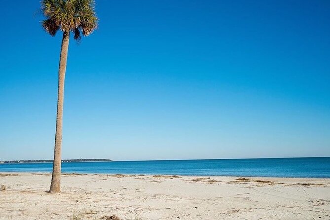 Daufuskie Day Trip Package (4 Person) Ferry Plus Golf Cart - Sum Up