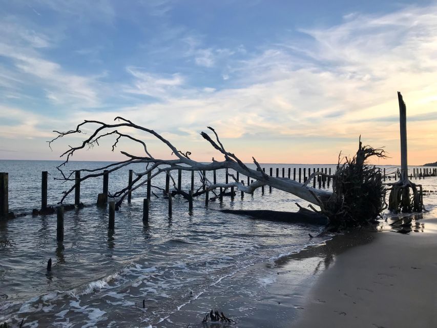 Daufuskie Island Round Trip Ferry - Golf Cart Rental Option