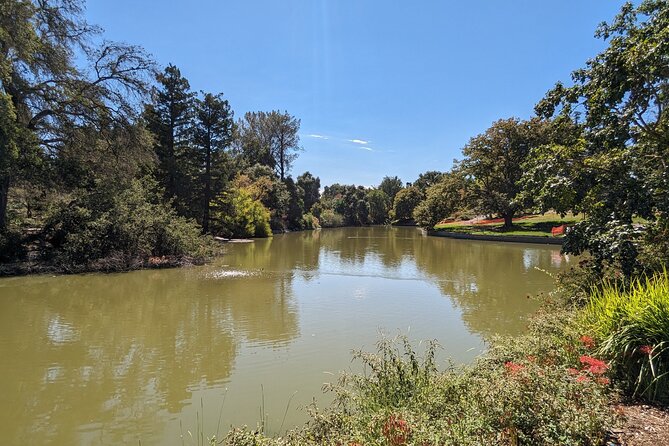 Davis Scavenger Hunt Walking Tour and Game - Review Highlights and Feedback