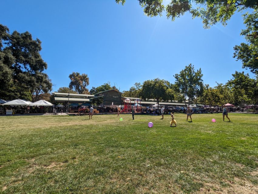 Davis Scavenger Hunt Walking Tour and Game - Key Points