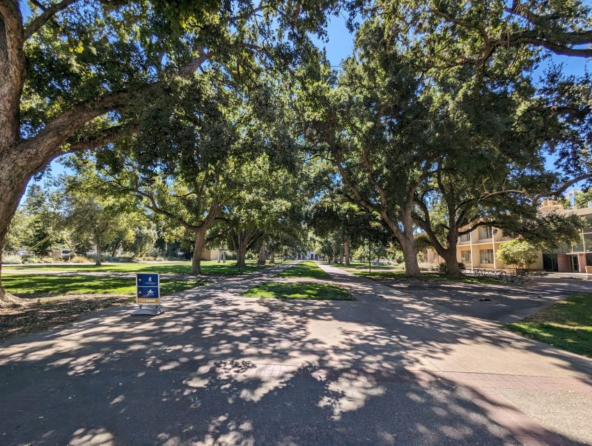 Davis Scavenger Hunt Walking Tour and Game - Challenges and Puzzles