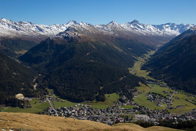 Davos - Private Walking Tour - Inclusions