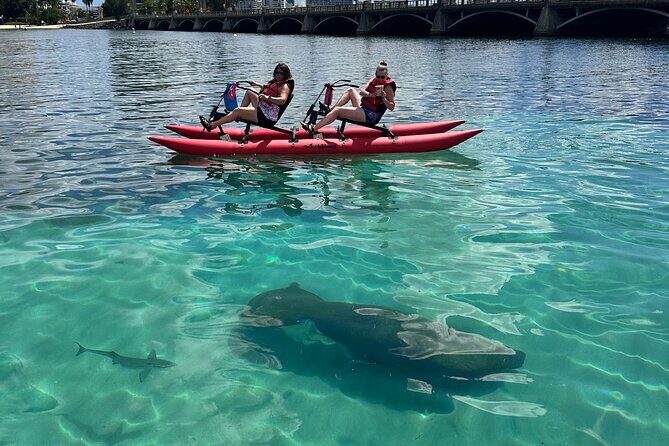 Day Adventure Chiliboats Waterbike Condado Lagoon - An In-Depth Look at the Experience