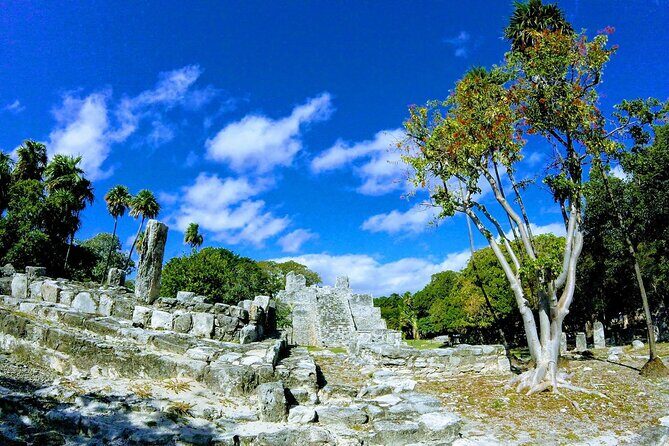 Day at Cancun City Tour! Mayan Ruins With Round Transportation - What to Expect from the Itinerary